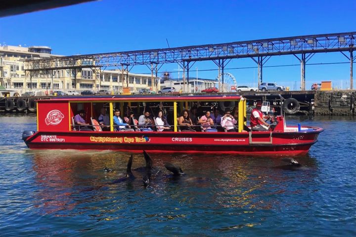 V&A Harbour & Seal Cruise